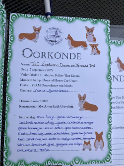 Afbeelding invoegen